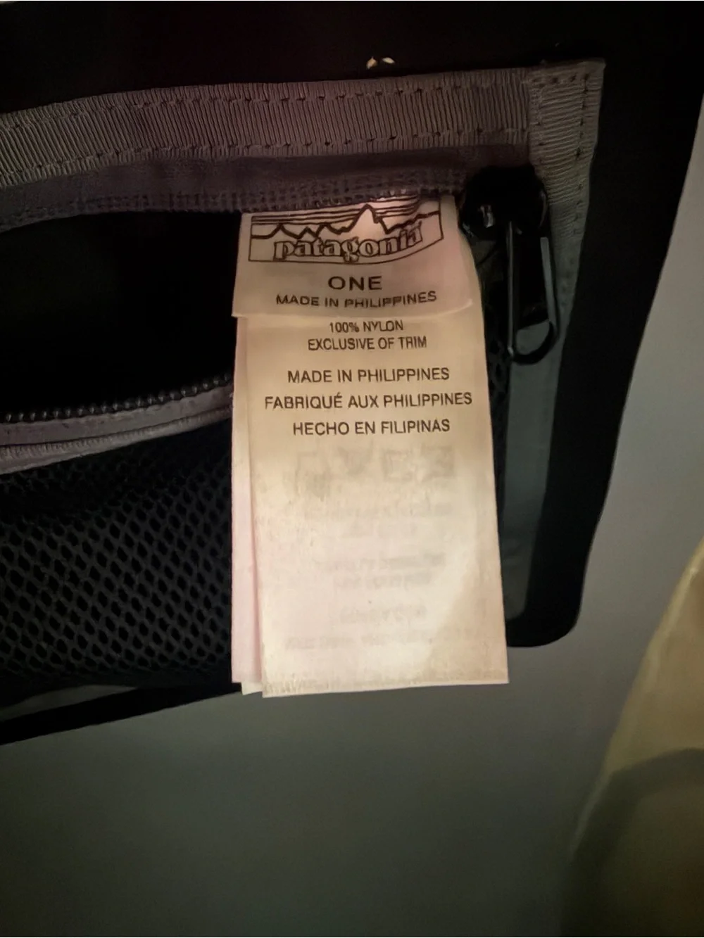 Patagonia sleek backpack